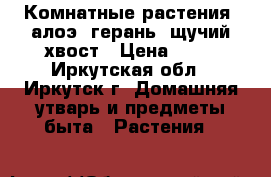 Комнатные растения: алоэ, герань, щучий хвост › Цена ­ 50 - Иркутская обл., Иркутск г. Домашняя утварь и предметы быта » Растения   